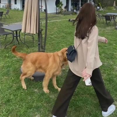 爱上街头艺人